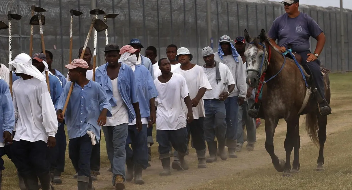 The Farm: Angola, USA