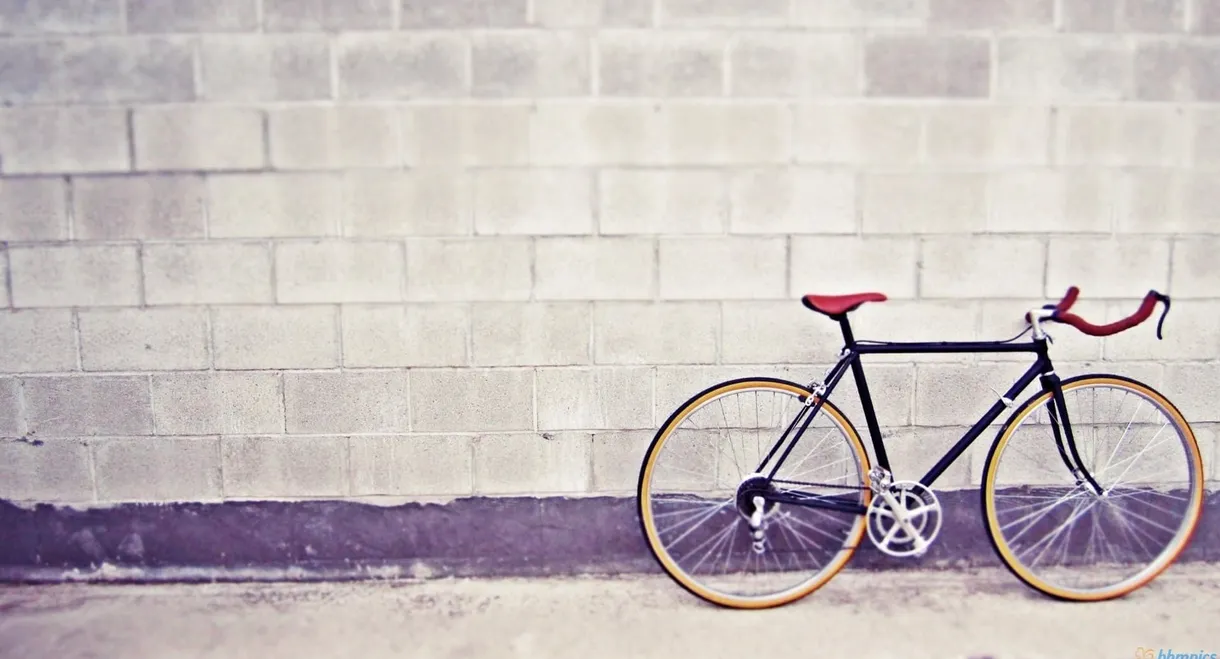 fixie