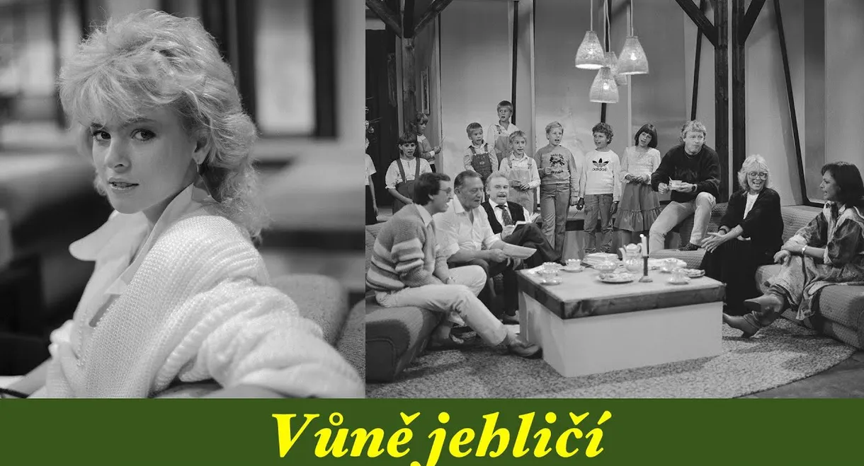 Vůně jehličí