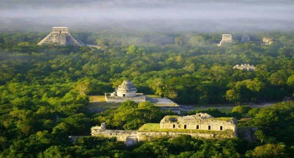 Maya: Ancient Metropolis