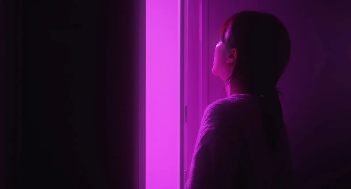 Purple Swallow