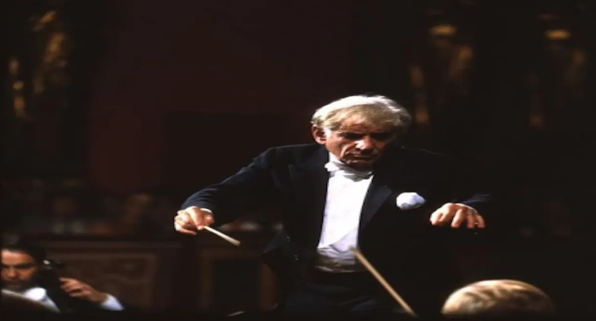 Bernstein Brahms Symphonies