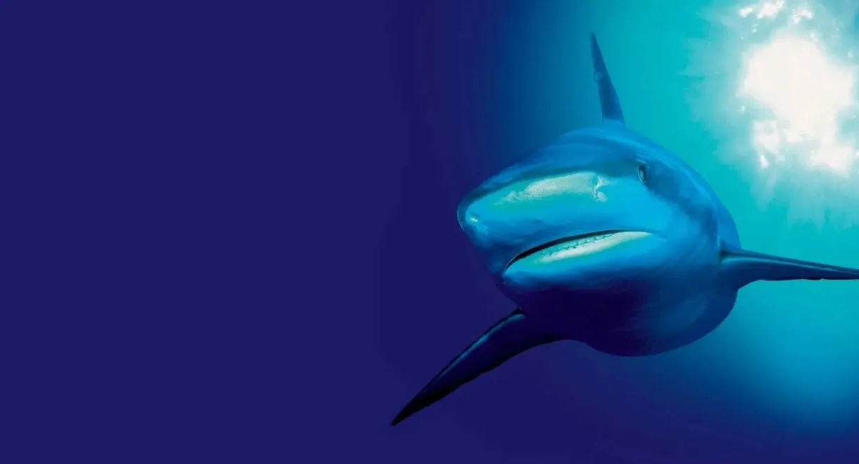 The Blue Planet