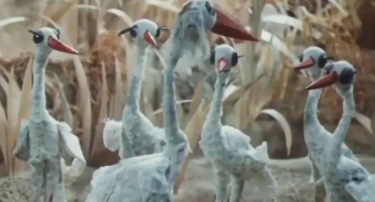 When Do the Storks Arrive