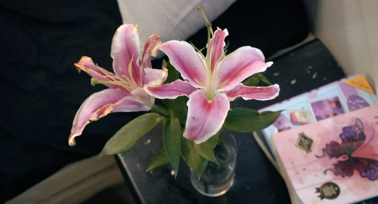 Lily