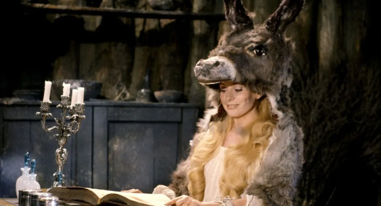 Donkey Skin