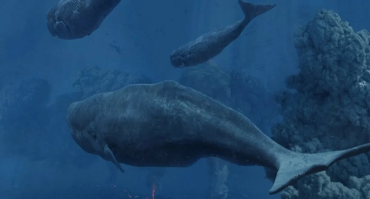 Tim Haines Deep Ocean