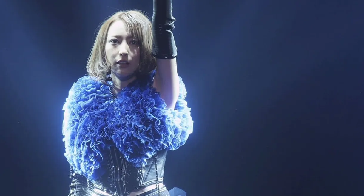 Eir Aoi 5th Anniversary Special Live 2016～LAST BLUE～at 日本武道館