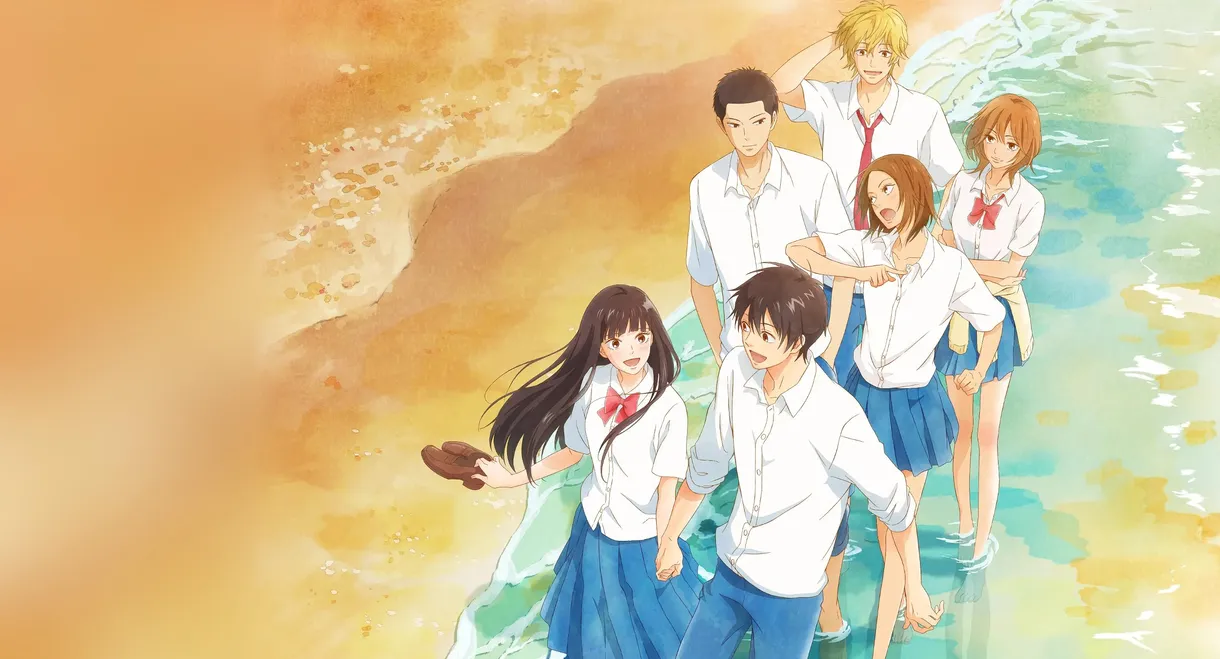 From Me to You: Kimi ni Todoke