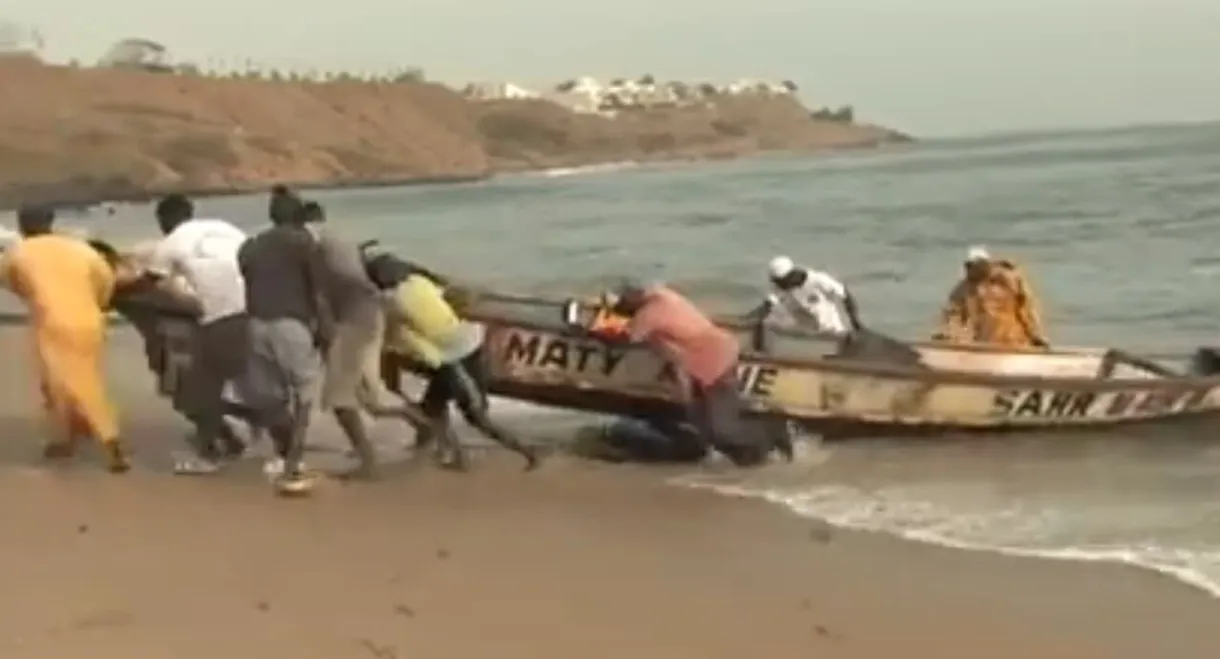 Halte au Massacre du Littoral