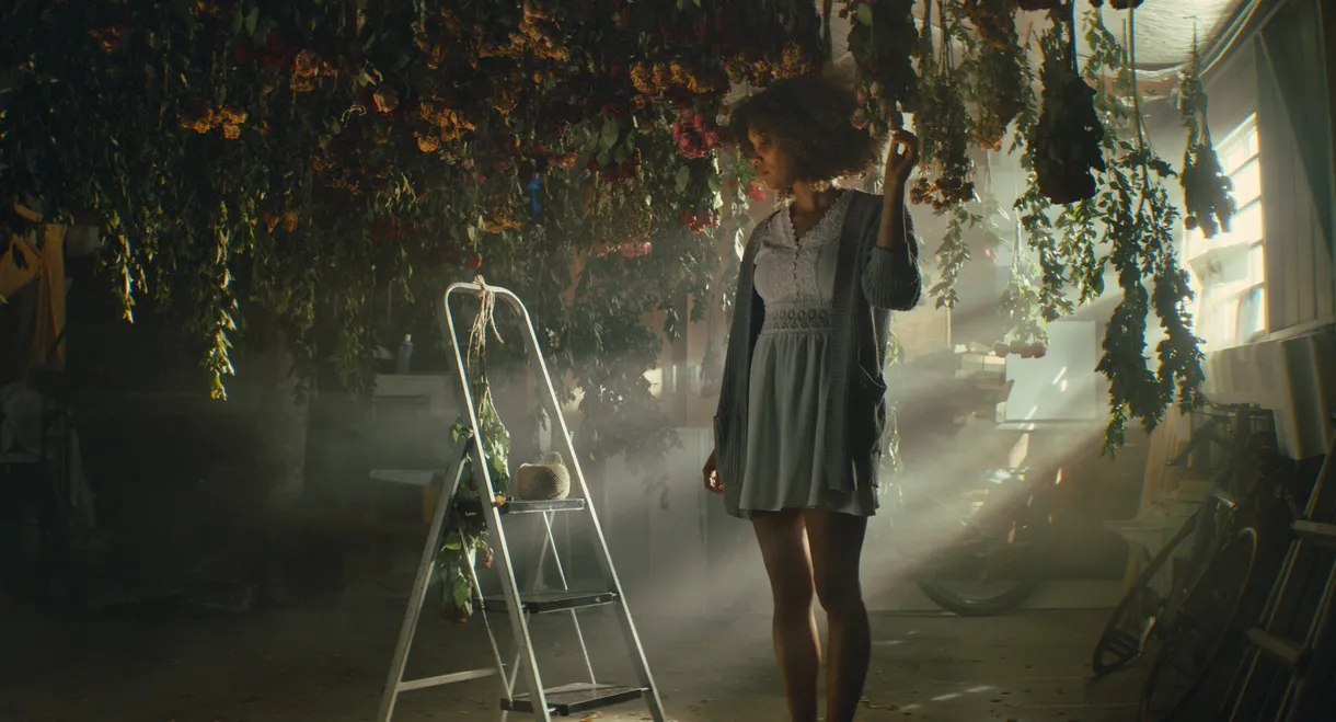 The Wilted Rose