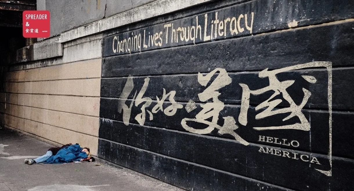 美洲大宝荐