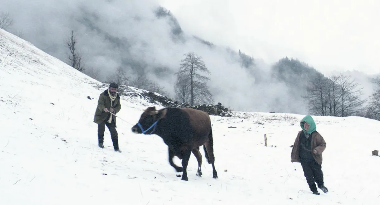 Cold of Kalandar