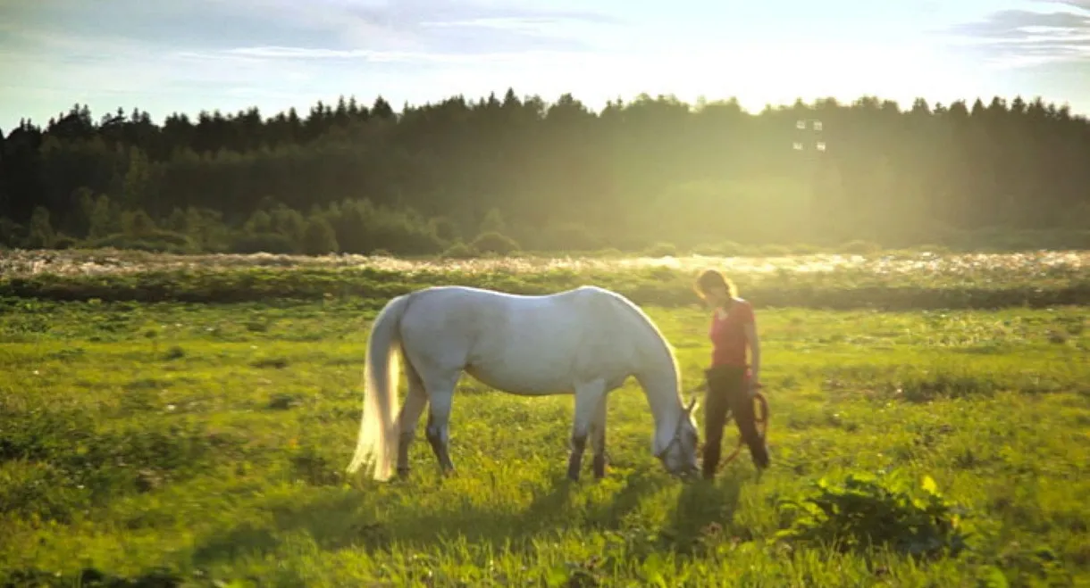 The Art of Communicating with Animals and People