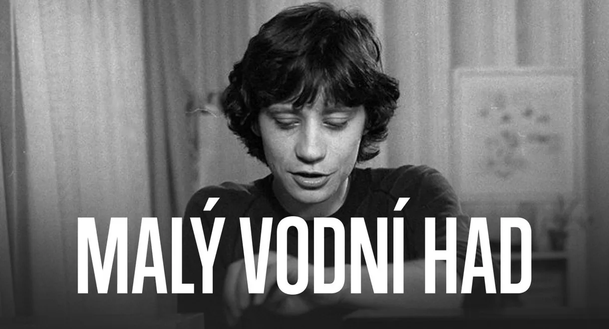Malý vodní had