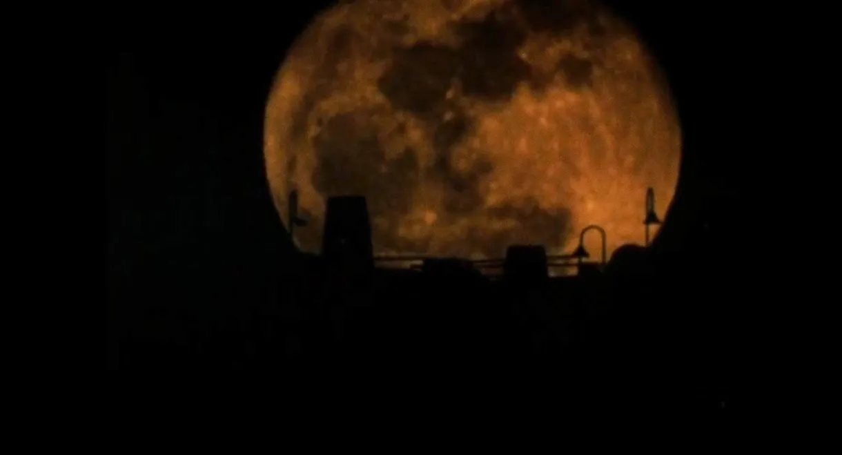 The Werewolf of Washington