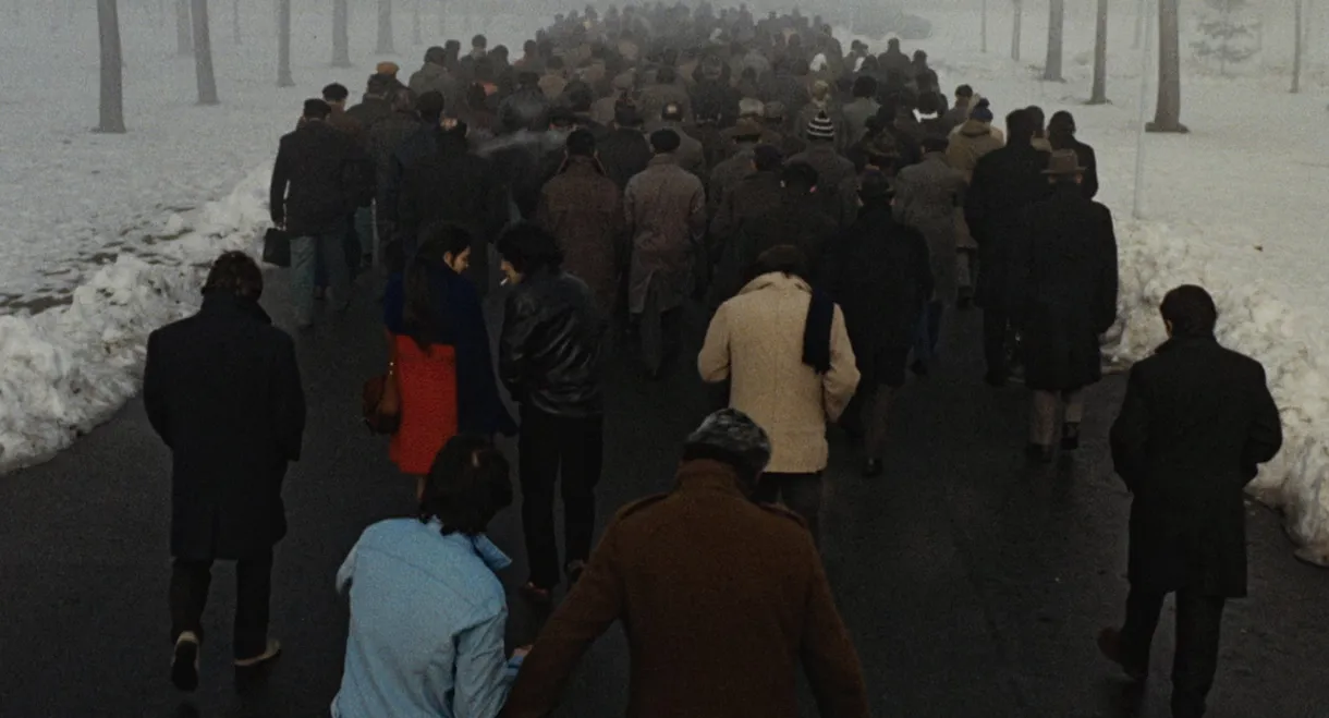 The Working Class Goes to Heaven