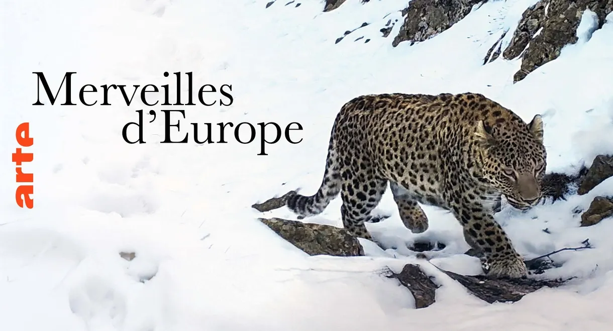 Merveilles d'Europe