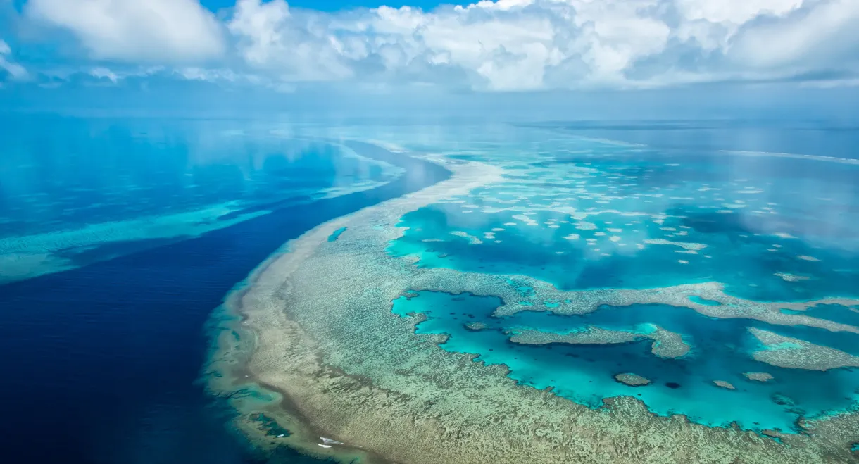 Great Barrier Reef 4K