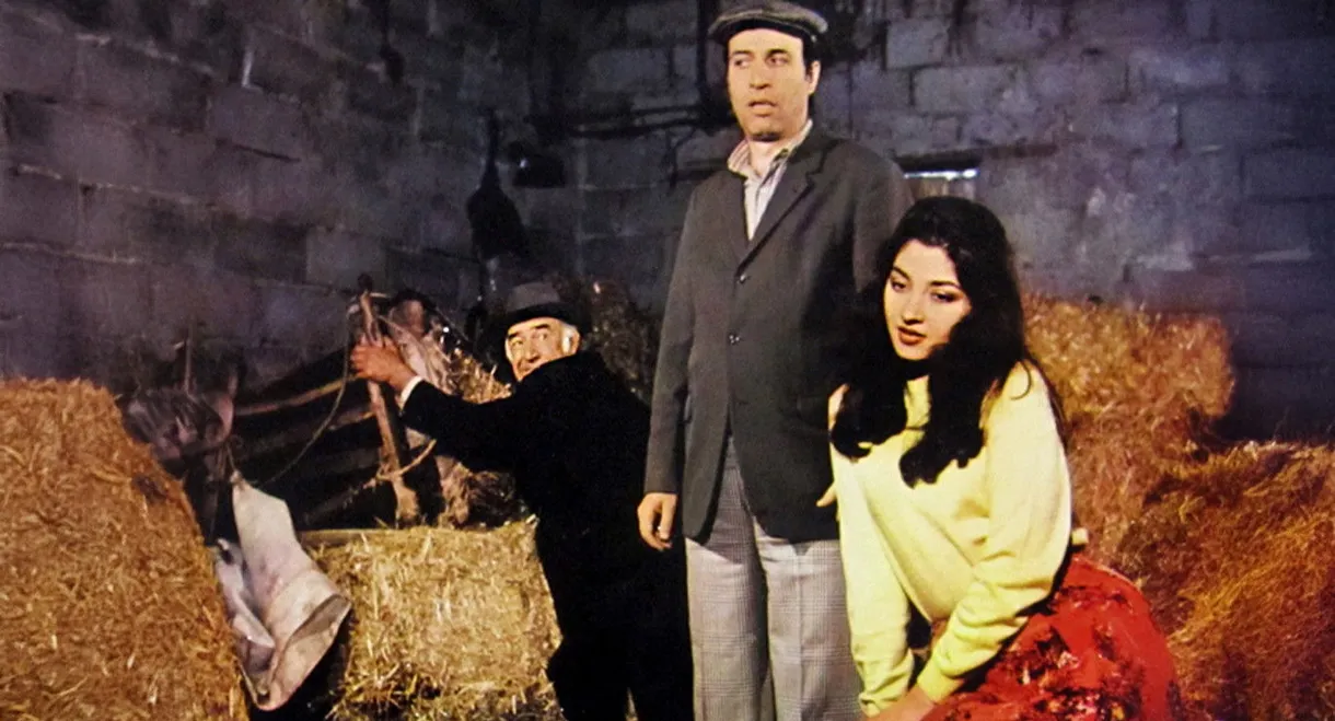 Tokatçı