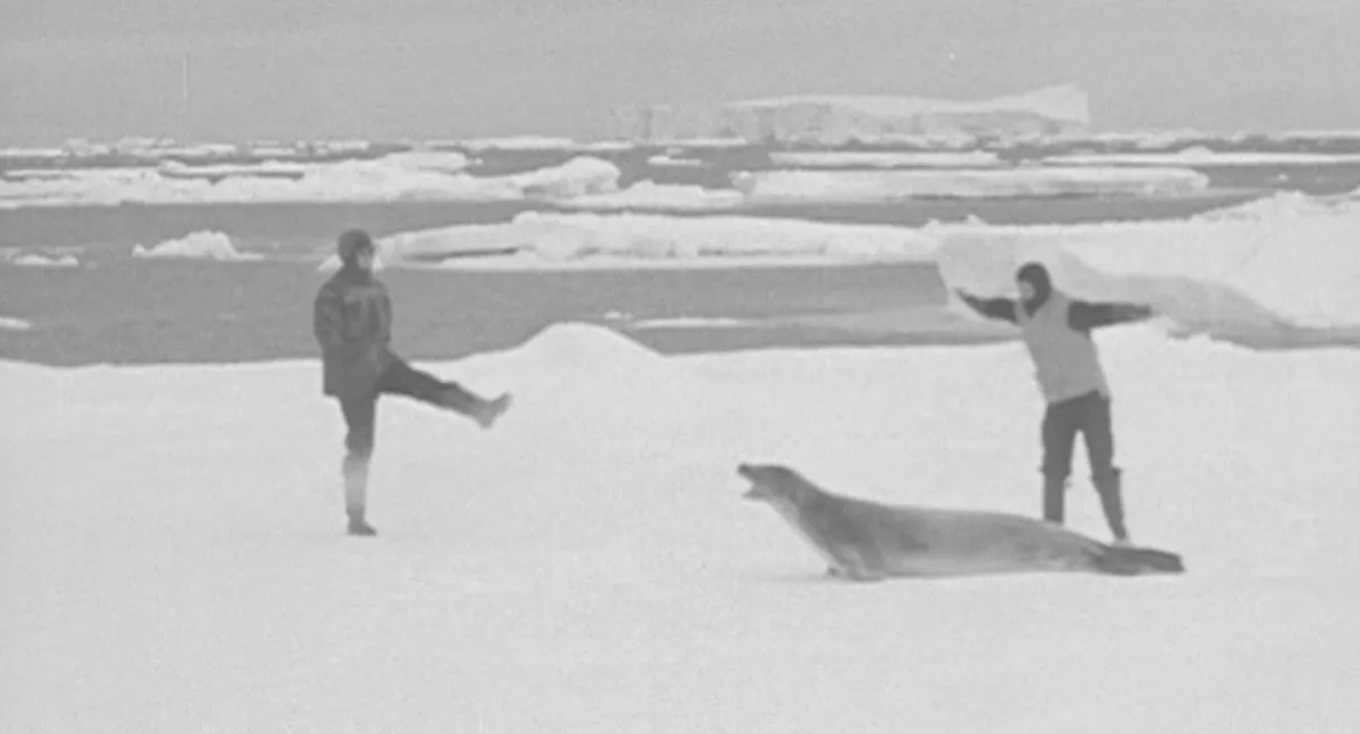 Antarctica 1948