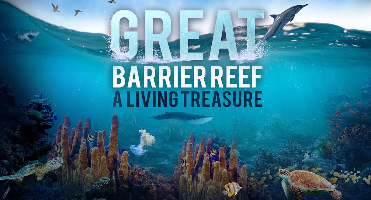 The Great Barrier Reef: A Living Treasure