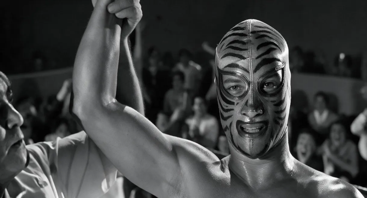 Los tigres del ring