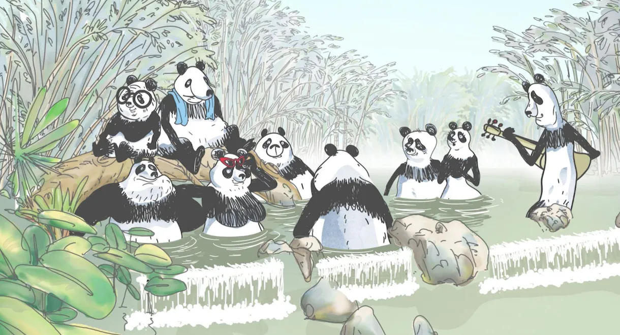 Pandas in the Mist