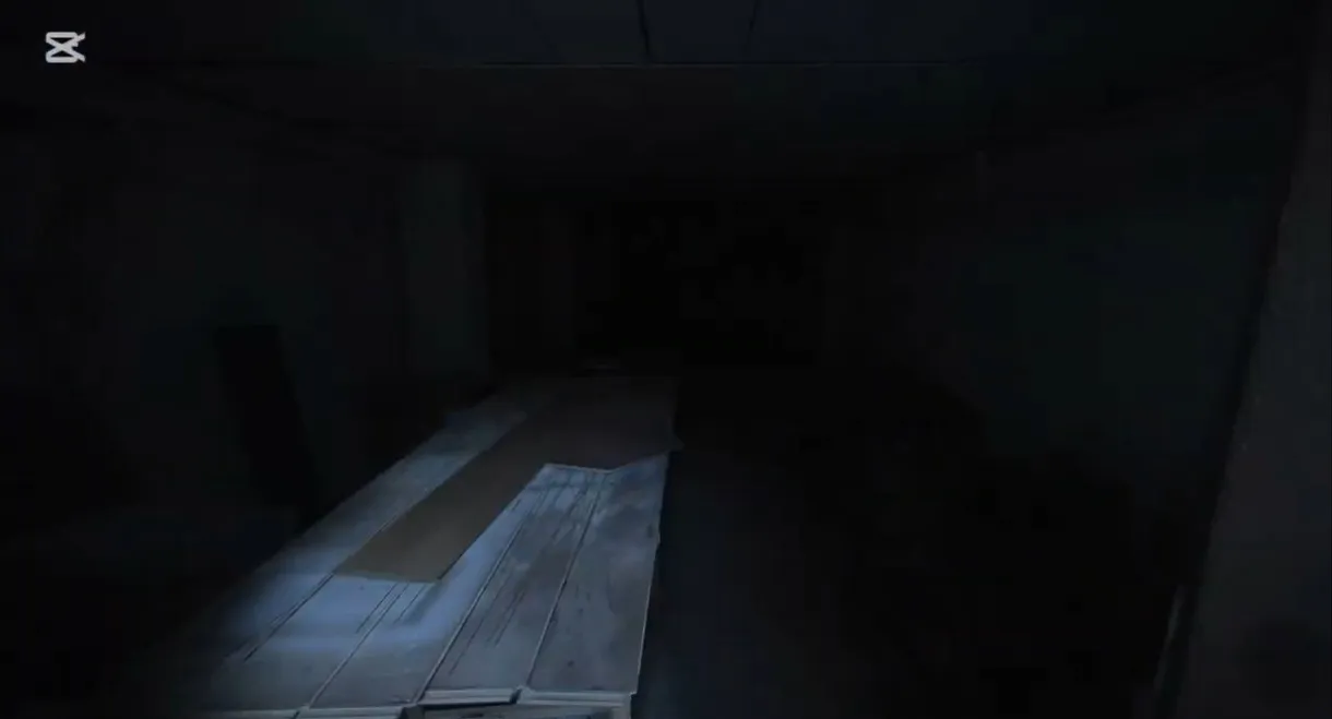 The basement