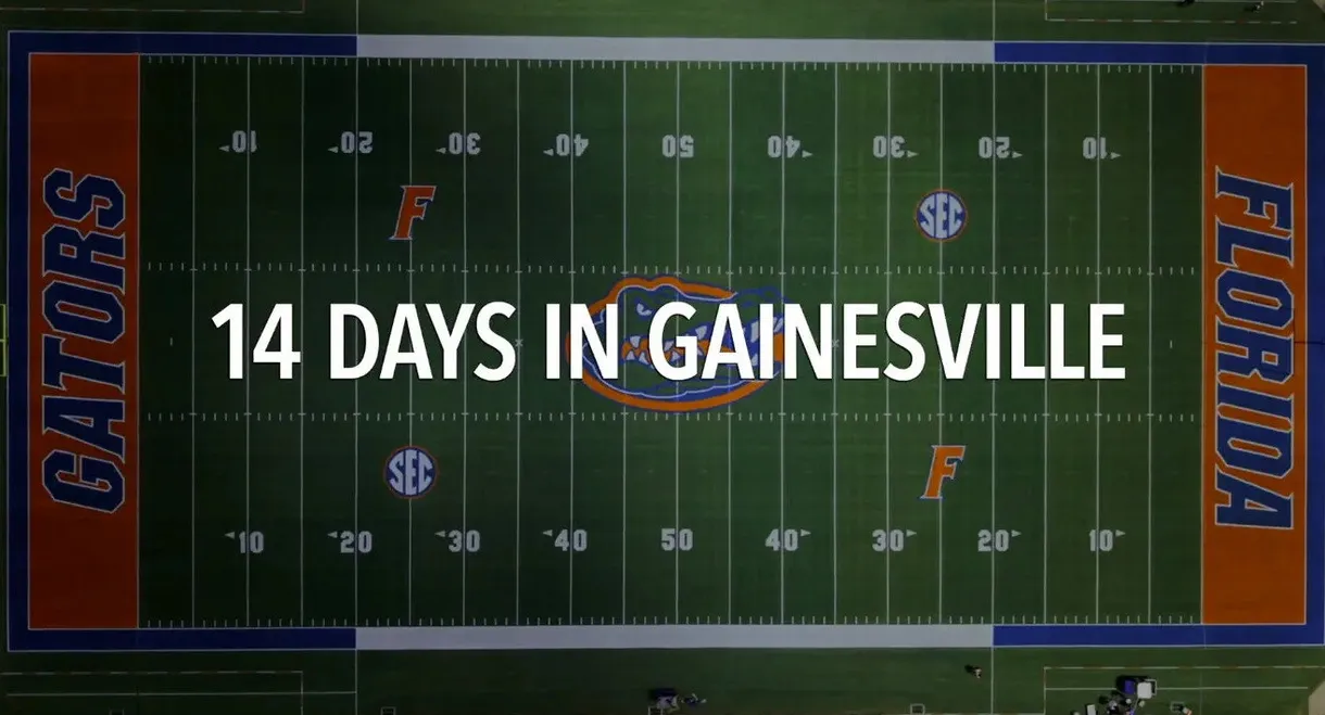 14 Days in Gainesville