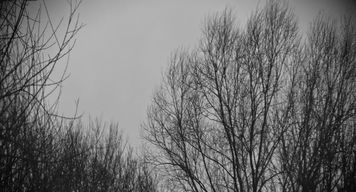 In Winter