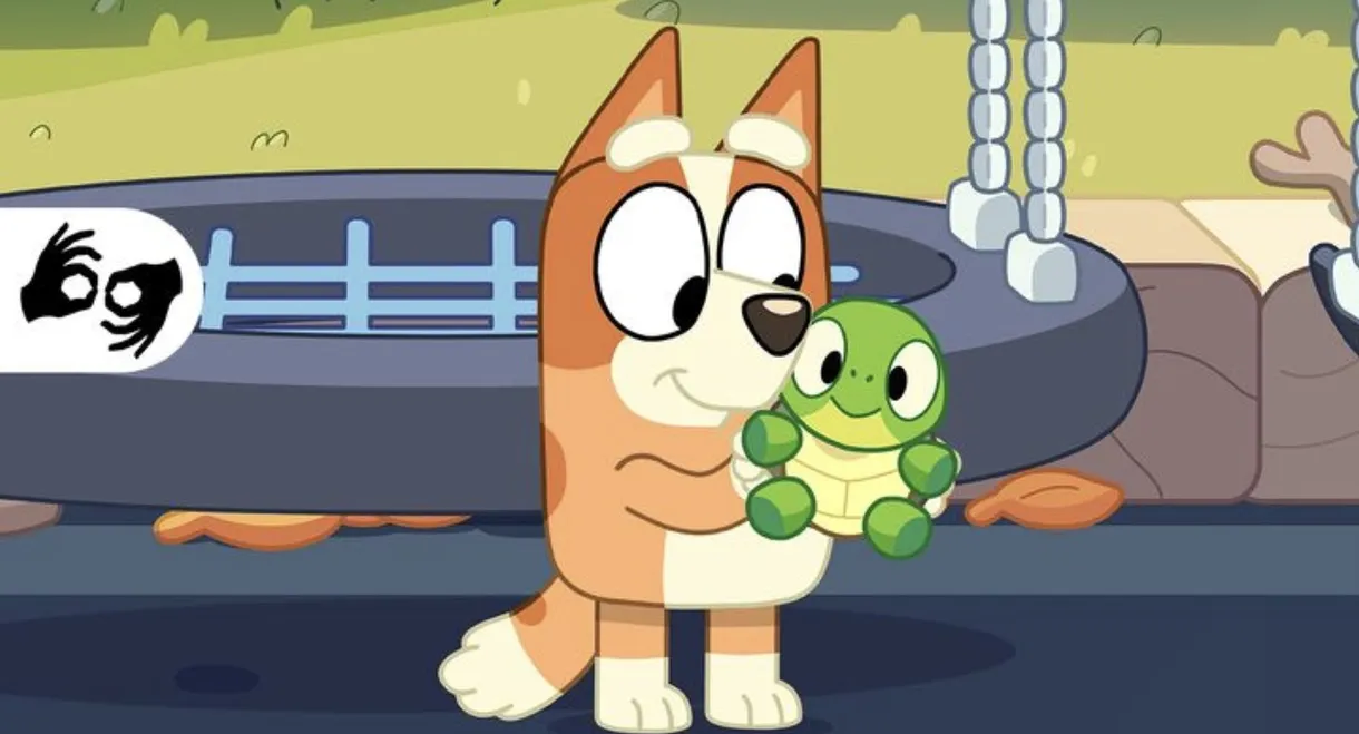 Bluey: Turtleboy (Auslan)