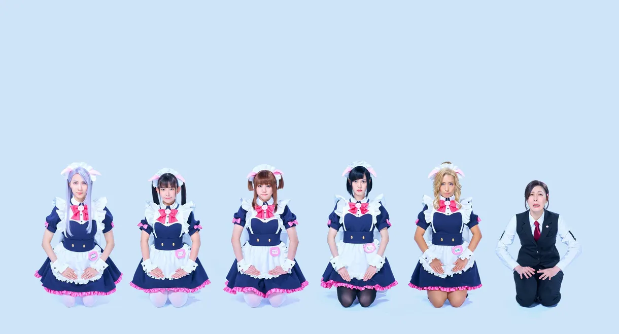 Akiba Maid War