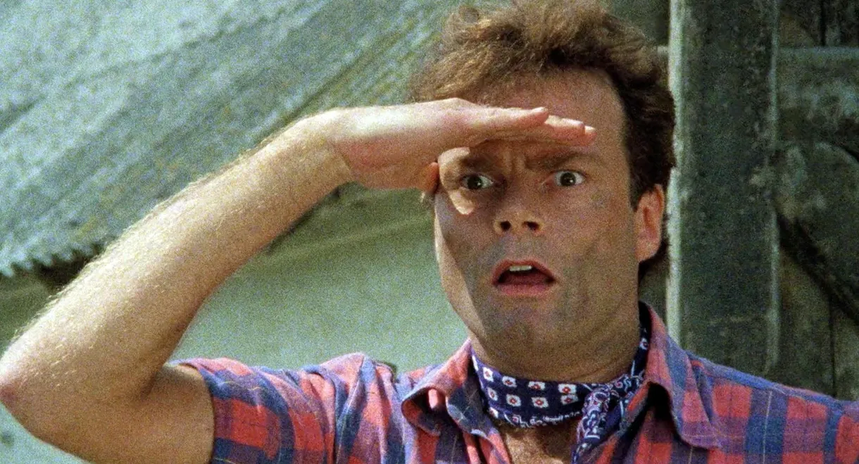 The Fight For The Red Cow