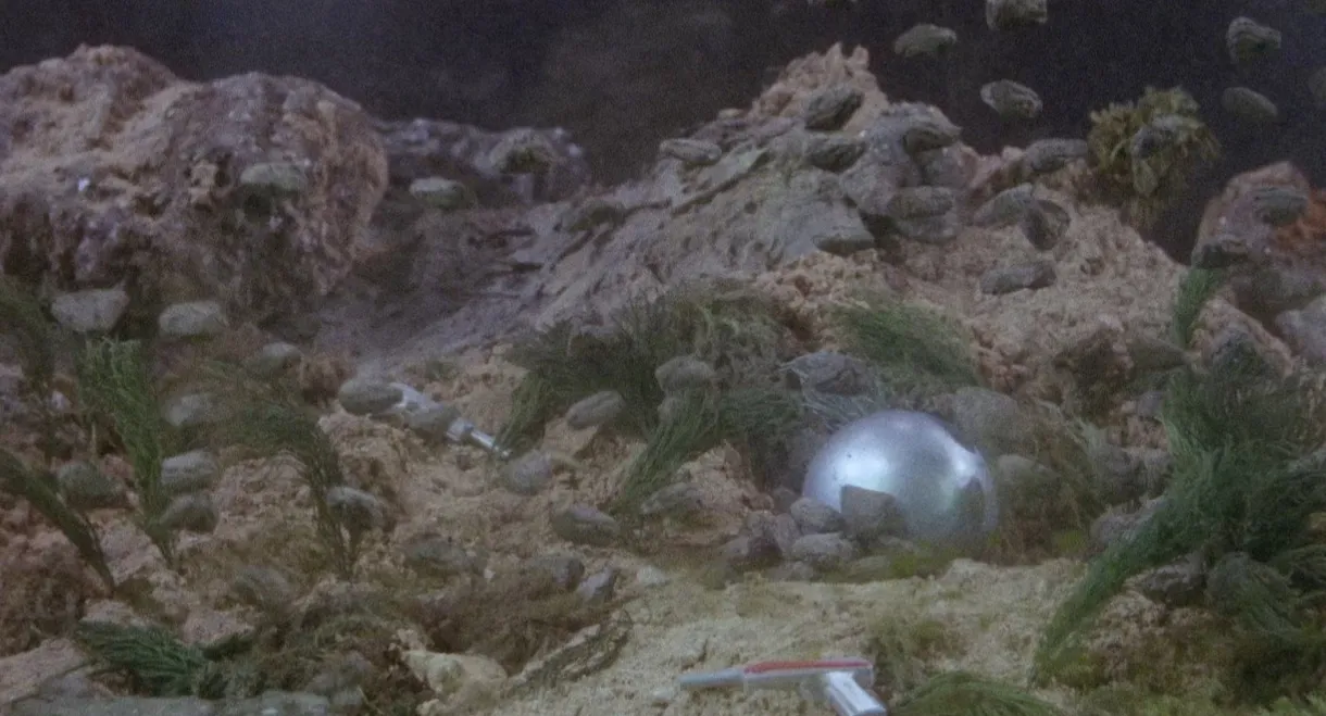 Stingray: Secret of the Giant Oyster