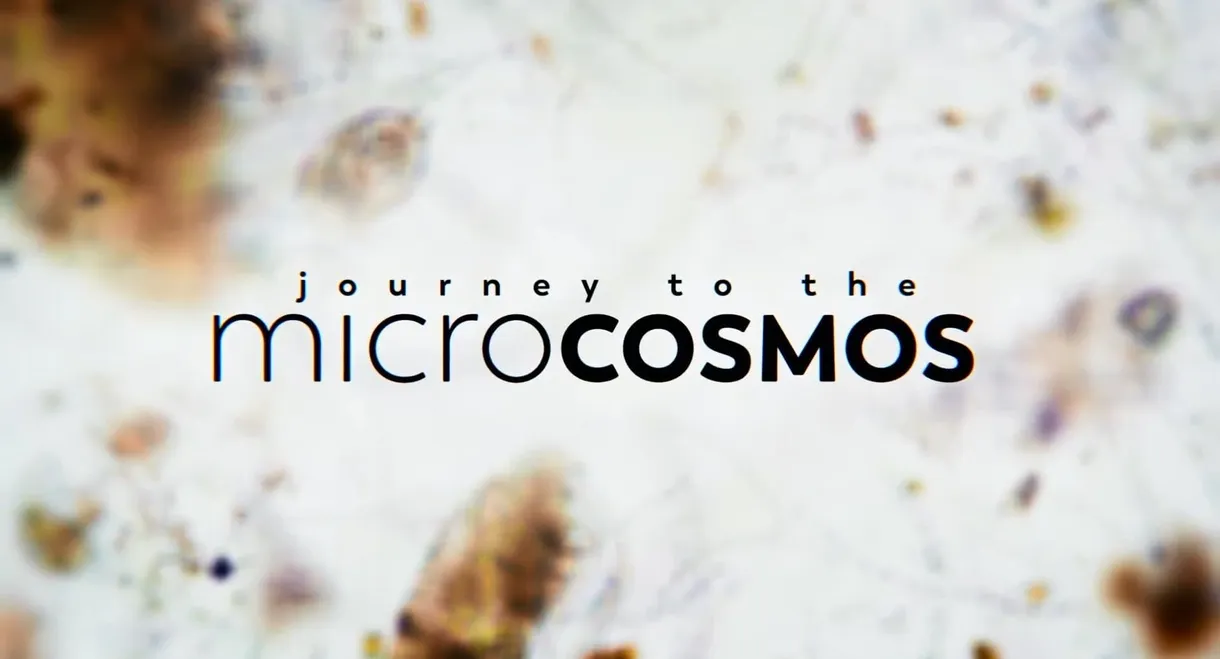 Journey to the Microcosmos