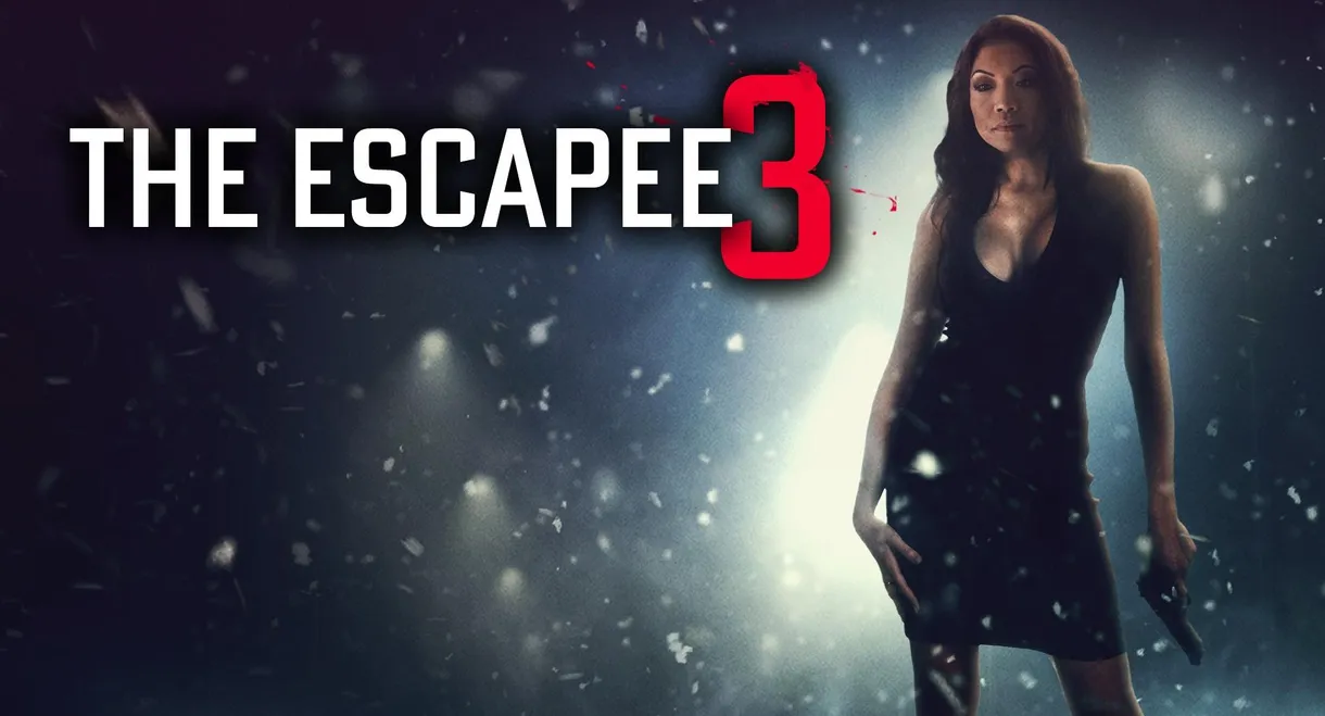 The Escapee 3: The Final Escape