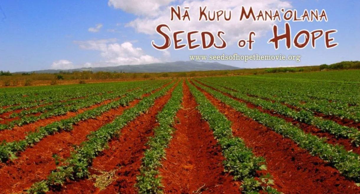 Seeds of Hope