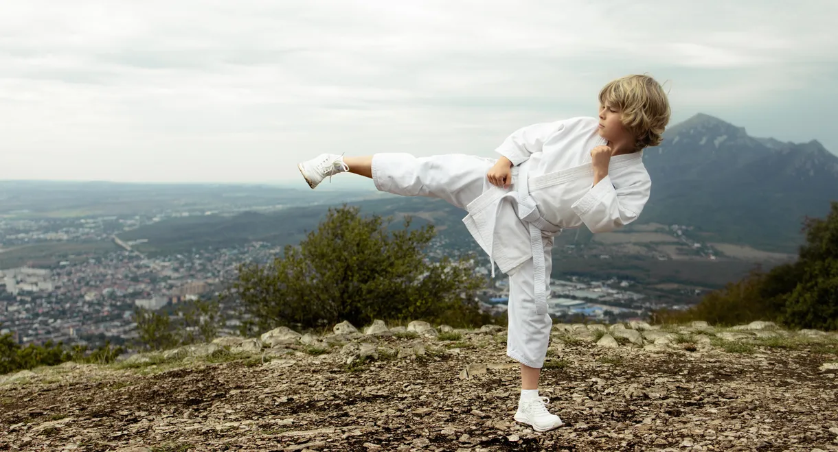 The Next Karate Kid