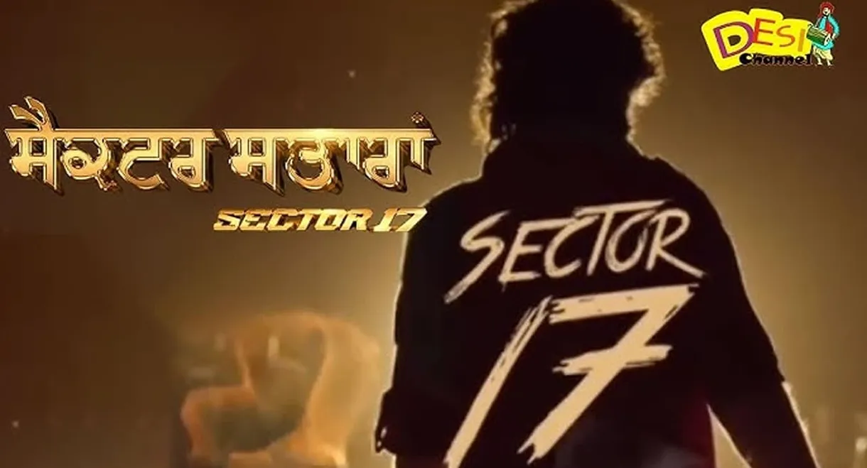 Sector 17