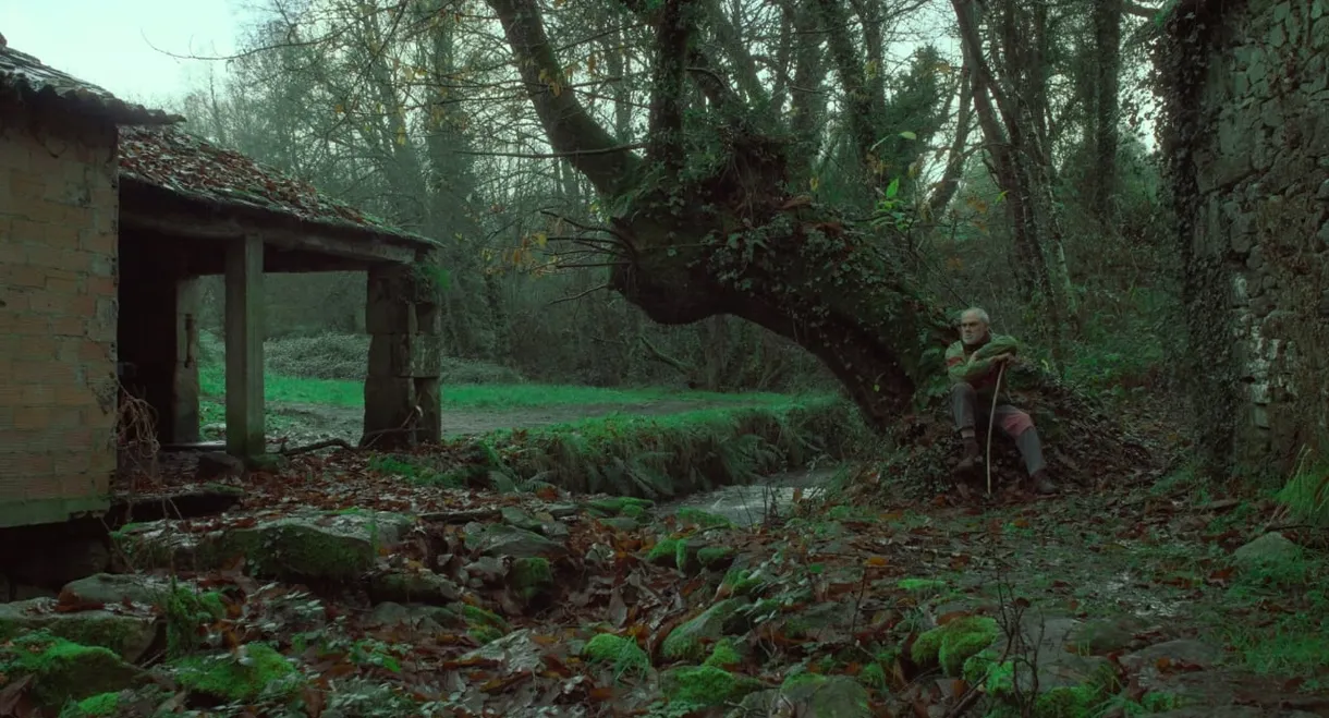 Under the Chestnut Tree