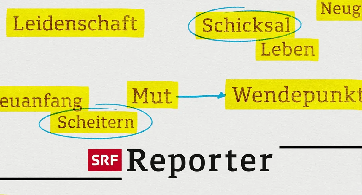 Reporter