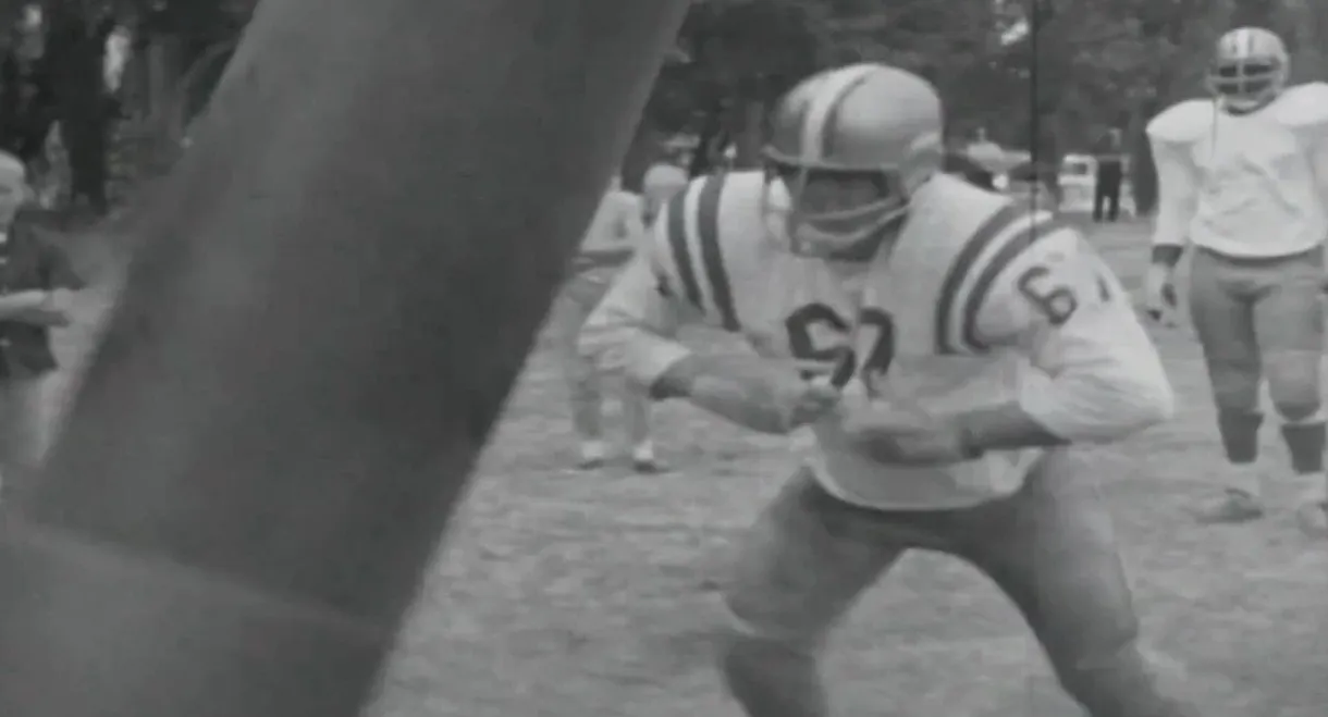 Pro Football: Mayhem on a Sunday Afternoon