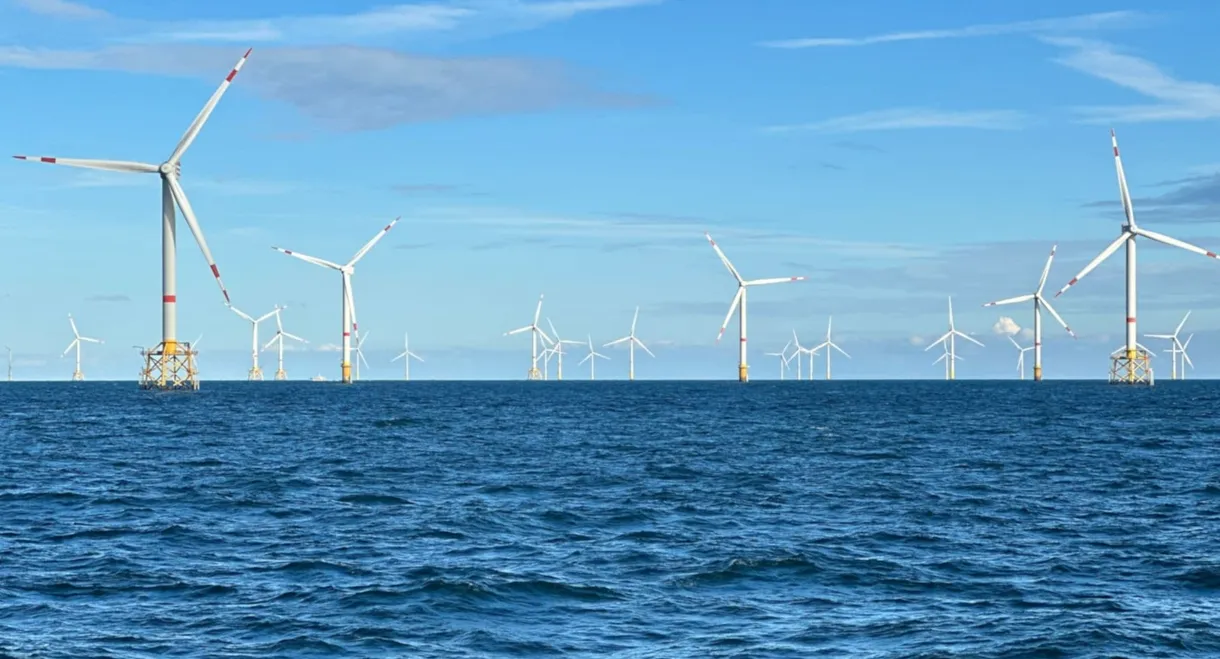 Windparks im Meer - Chance oder Risiko für die Natur?