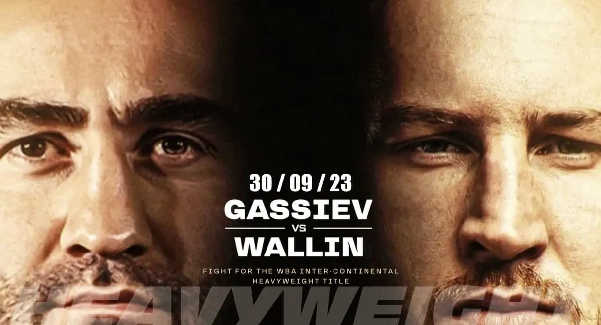 Murat Gassiev vs. Otto Wallin