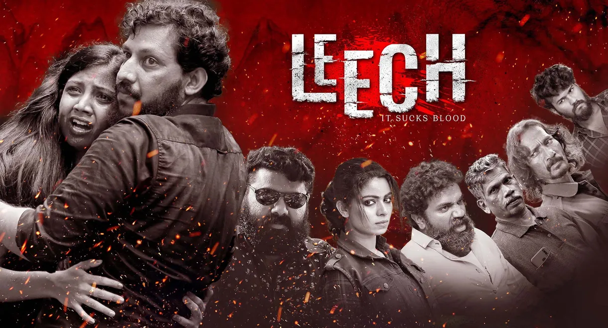 Leech