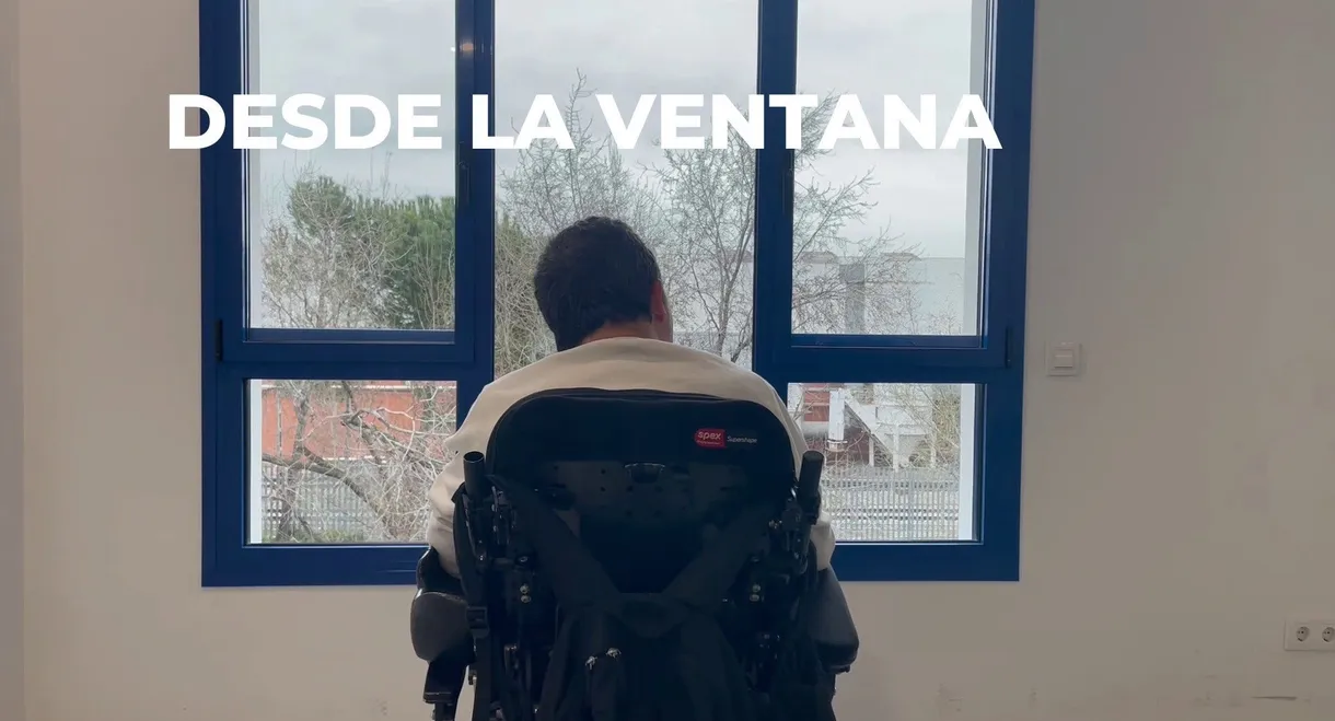 Desde la ventana
