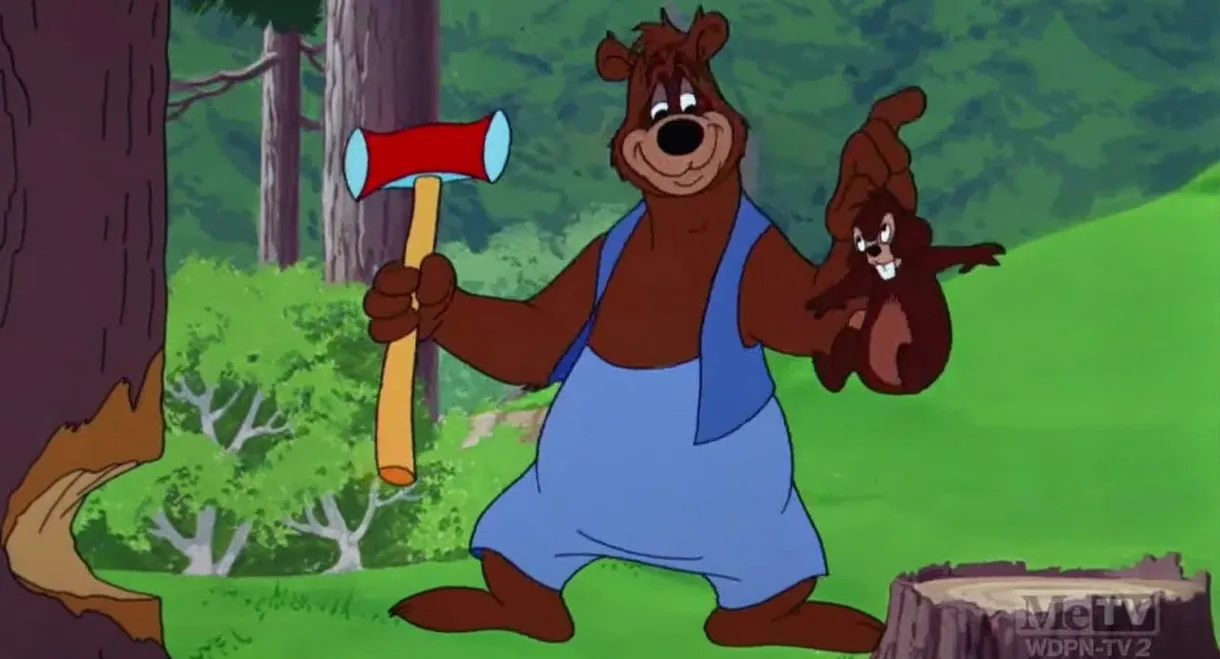 Busybody Bear