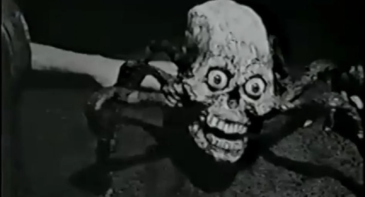 Debbie Does Damnation