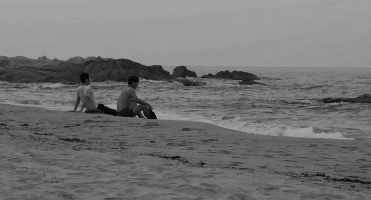 Black Summer